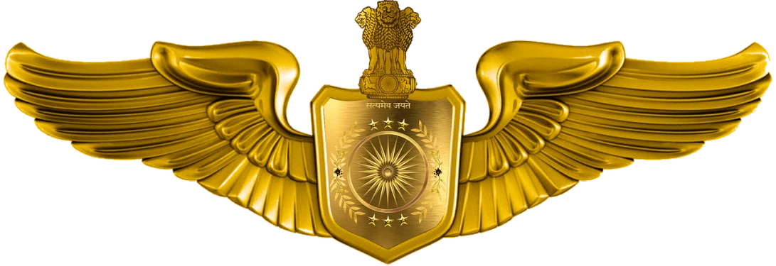 a golden shield with wings on a black background, by Saurabh Jethani, pixabay, digital art, officers uniform, air force, official print, closeup!!!!!!