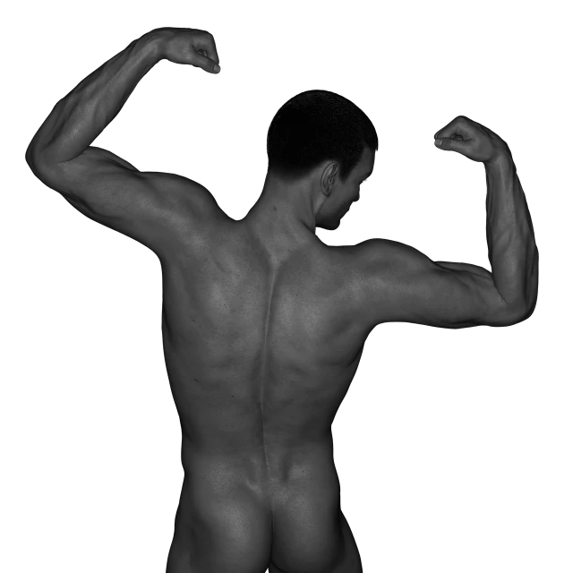 a black and white photo of a man flexing his muscles, inspired by Peter Basch, fine art, arched back, pose 1 of 1 6, half body photo, realistic anatomical proportions