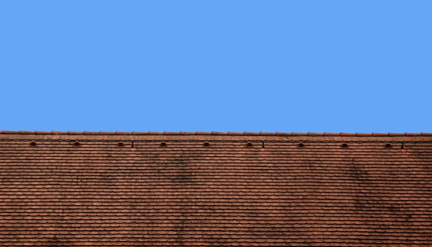 a bird is perched on the roof of a house, a stock photo, by Jan Rustem, shutterstock, postminimalism, brown red blue, repeating, archival pigment print, 1128x191 resolution