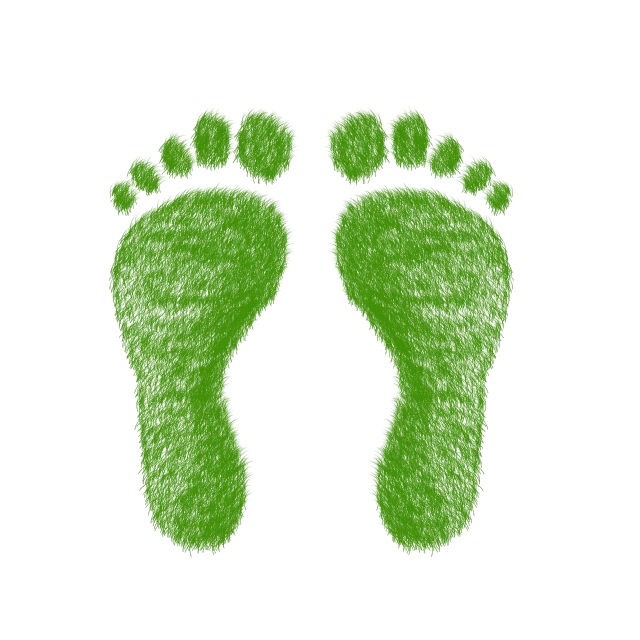 a pair of green footprints on a black background, a digital rendering, graffiti, ecology, pregnancy, tourist photo