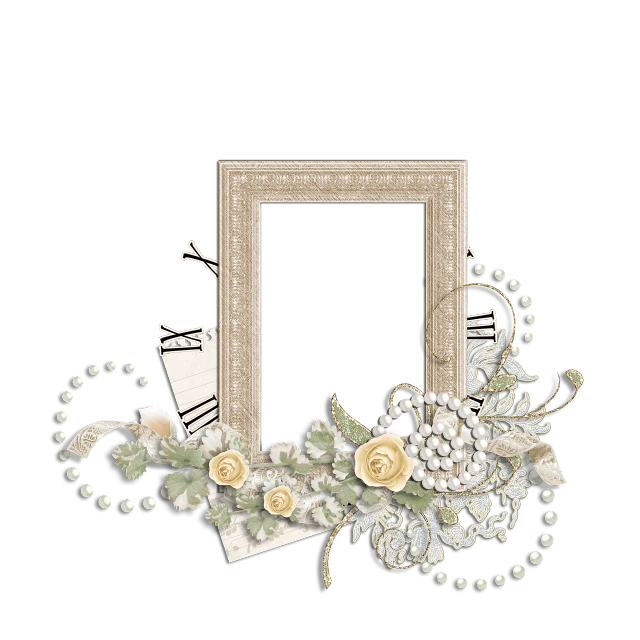 a picture frame with flowers and pearls on a black background, inspired by Cindy Wright, baroque, jazz age, snapshot, scrapbook, vignette illustration