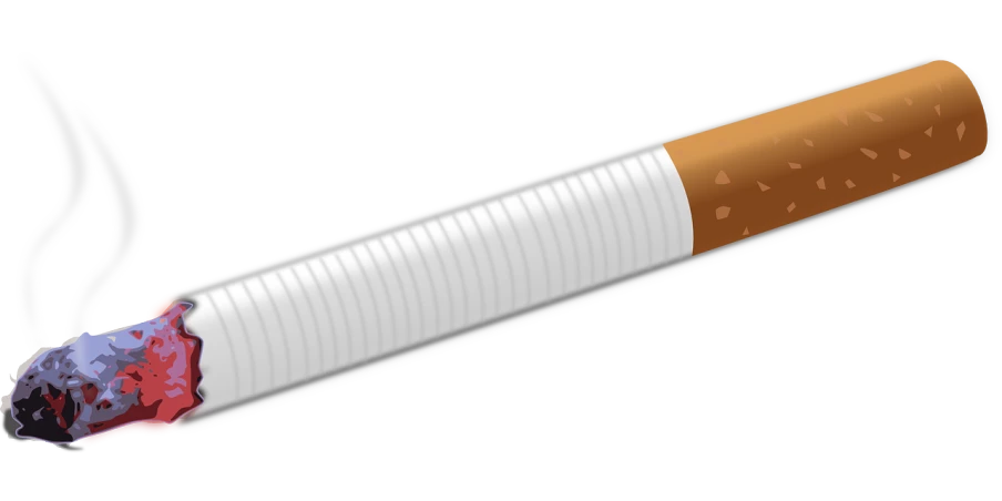 a cigarette with smoke coming out of it, a digital rendering, trending on pixabay, cobra, heavy conduits, detailed vector, with a long white, 3/4 side view