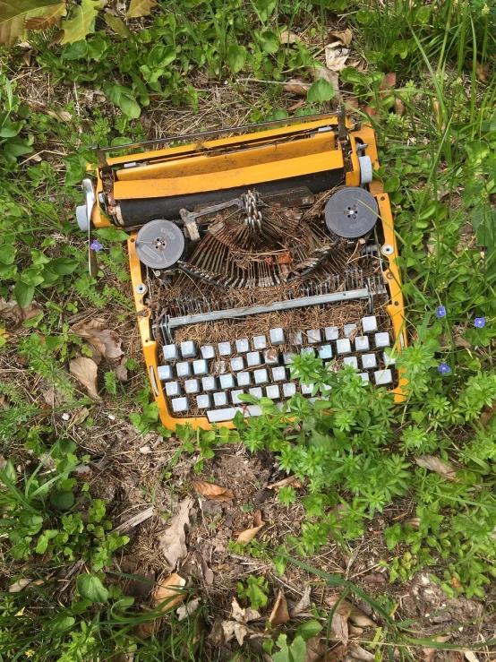 an old typewriter laying in the grass, a portrait, by Robert Feke, debris spread, high quality product image”, in the hillside, above view