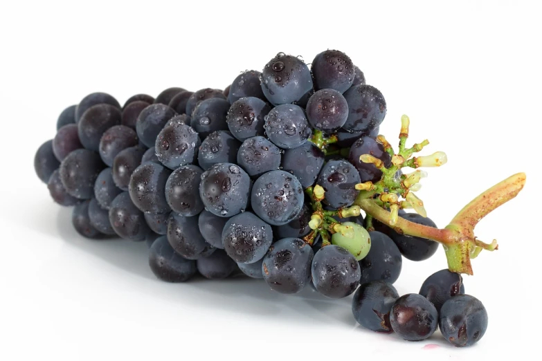 a close up of a bunch of grapes, productphoto, detailed product photo, 5 feet away, high detail product photo