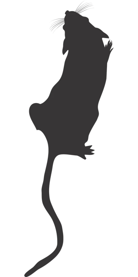 a rat silhouetted against a black background, concept art, reddit, hurufiyya, tail of a lemur, background image, cats! are around, tail slightly wavy