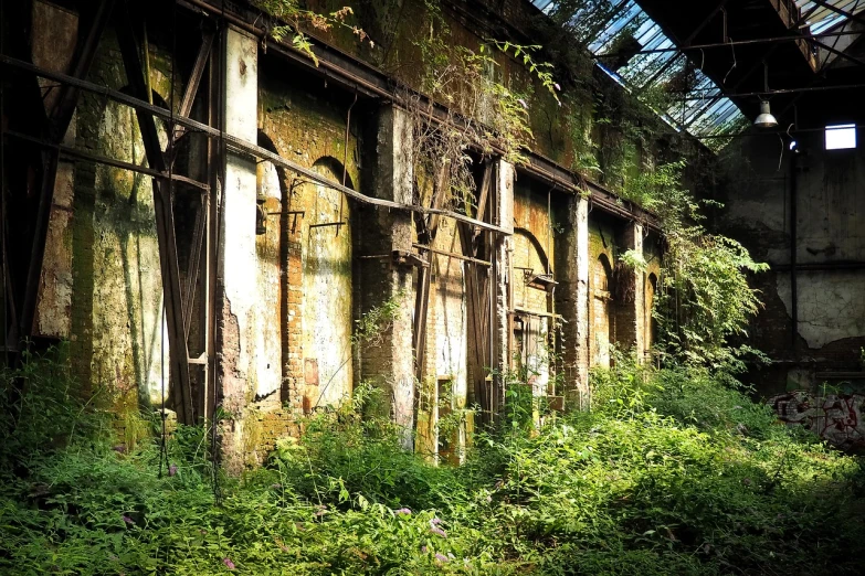 an old building is overgrown with weeds and weeds, by Mirko Rački, malaysia jungle, aqueduct and arches, iphone photo, ((rust))