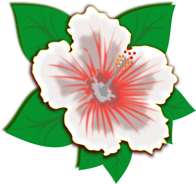 a white and red flower with green leaves, a digital rendering, inspired by Masamitsu Ōta, flickr, sōsaku hanga, hibiscus, various posed, icon, tropical lighting