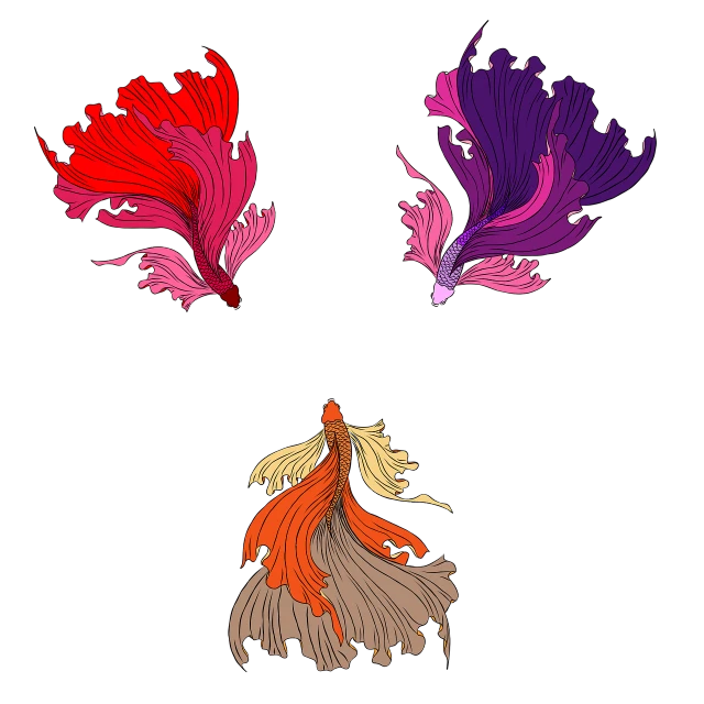 three different colored fish on a black background, concept art, inspired by Kameda Bōsai, art nouveau, flowers. baroque elements, betta fish, dressed in long fluent skirt, minimalistic illustration