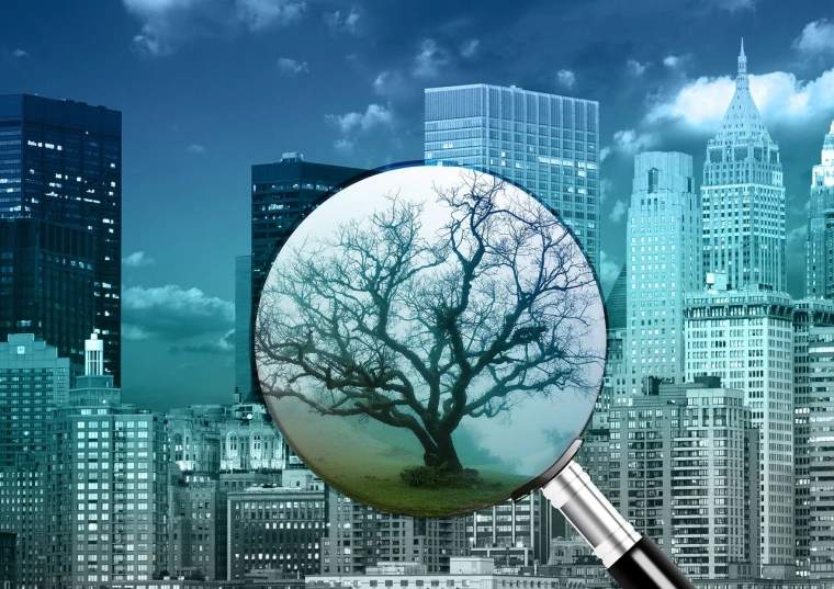 a magnifying image of a tree in the middle of a city, shutterstock, dead forest background, new york city as backdrop, organic buildings, stock photo