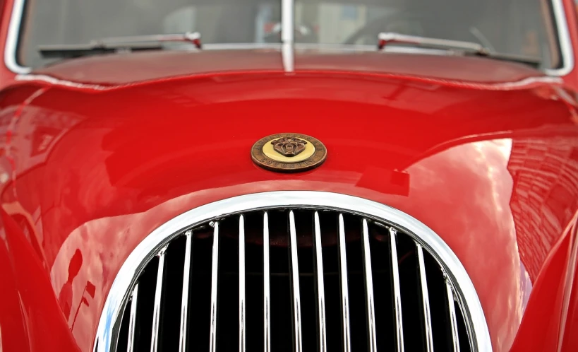 a close up of a red car with a badge on it, a photo, by David Simpson, renaissance, jaguar, mouse head, trident, red grid