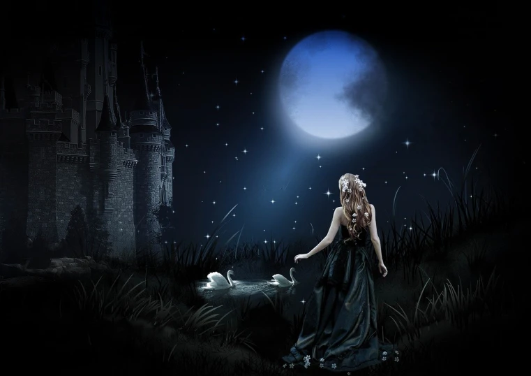 a woman standing in front of a castle at night, shutterstock, fantasy art, swan, the moonlit dance of the fae, princess in foreground, on an empty moonlit hill