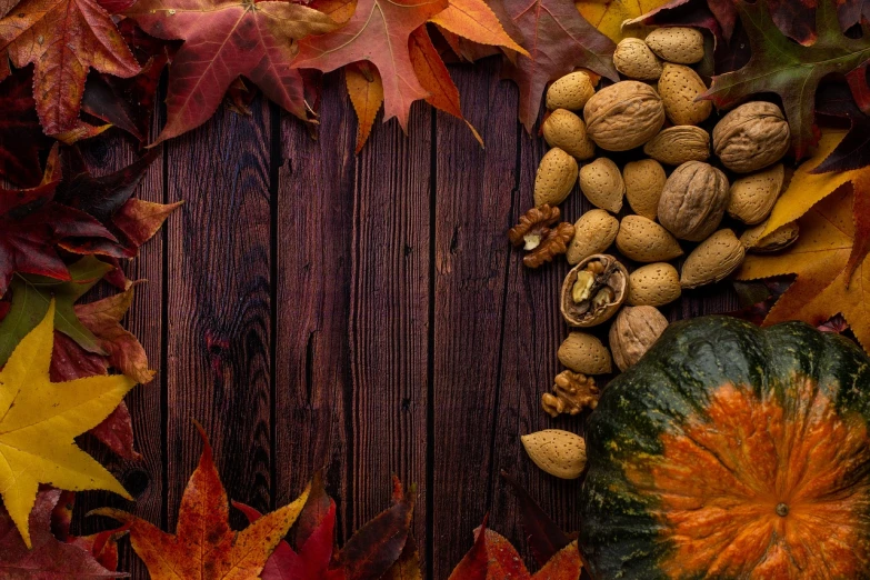 a bunch of nuts sitting on top of a wooden table, a still life, shutterstock, digital art, autumn leaves background, background image, overhead view, wallpaper - 1 0 2 4