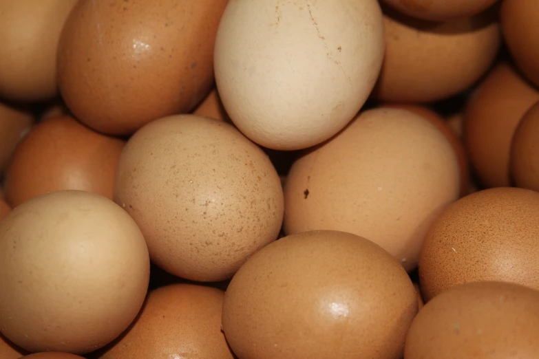 a pile of eggs sitting on top of each other, a picture, by Linda Sutton, close up image, tan, exploitable image, organics