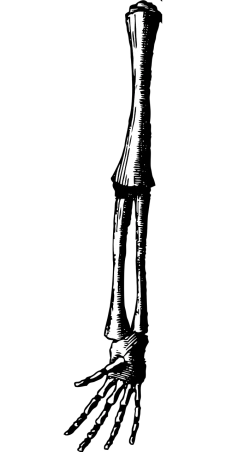 a black and white photo of a bottle of soda, a stipple, inspired by Sōtarō Yasui, black backround. inkscape, high detailed thin stalagmites, cone shaped, phone wallpaper hd