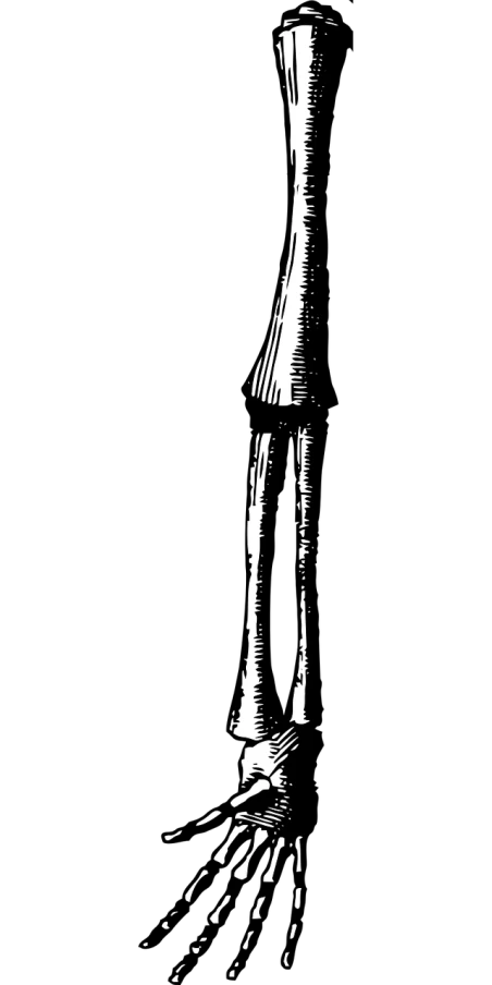 a black and white photo of a bottle of soda, a stipple, inspired by Sōtarō Yasui, black backround. inkscape, high detailed thin stalagmites, cone shaped, phone wallpaper hd