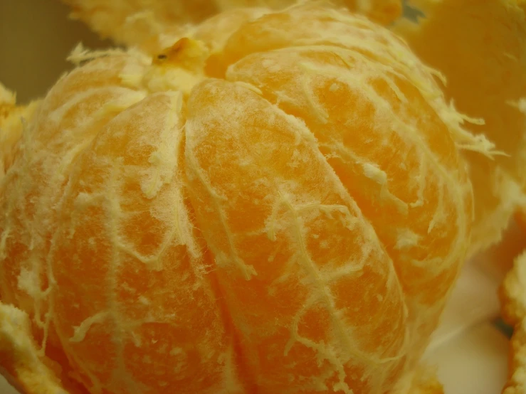 a peeled orange sitting on top of a white plate, a stipple, pexels, high detail”, shot on kodak vision 200t, hairy orange body, extremely detailed!