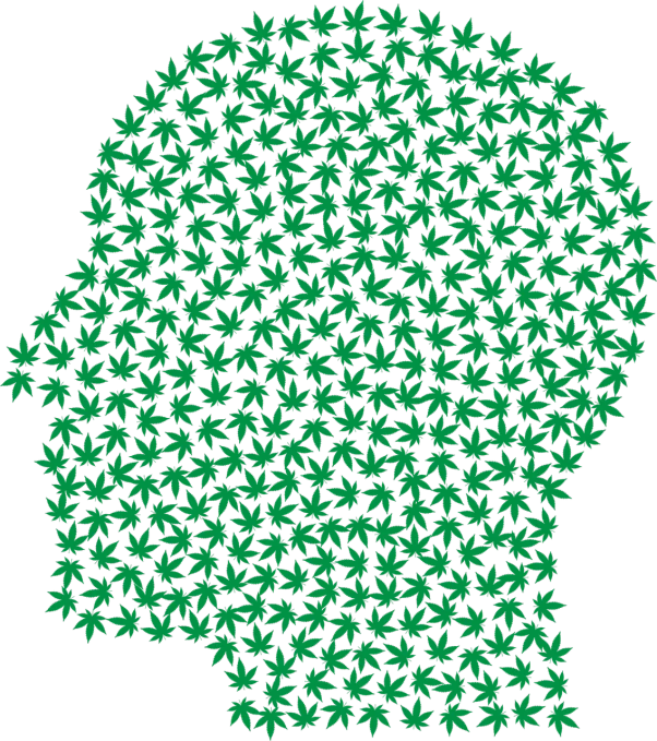 a man's head made up of marijuana leaves, inspired by Alex Katz, pixabay, digital art, no gradients, background full of lucky clovers, human silhouette, dementia