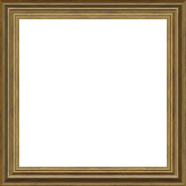 a gold frame with a black background, a picture, 2 5 6 x 2 5 6 pixels, muted brown yellow and blacks, restored color, 2 k