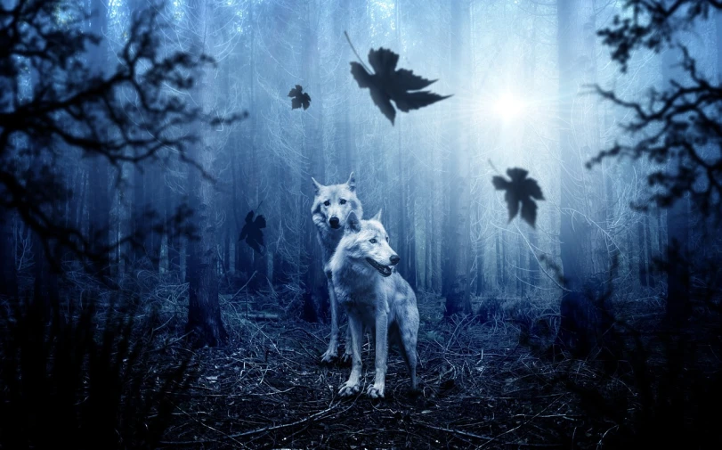 a wolf standing in the middle of a forest, a photo, fantasy art, white and blue, magical leafs falling, siblings, twilight