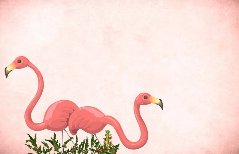 a couple of pink flamingos standing next to each other, an illustration of, inspired by Christoffer Wilhelm Eckersberg, fine art, banner, background image, christmas, wide shot photo