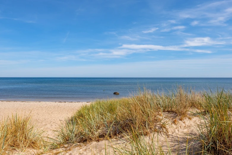 a large body of water sitting on top of a sandy beach, a photo, by Jesper Knudsen, shutterstock, grass and rocks, vertical orientation, wisconsin, beautiful tranquil day