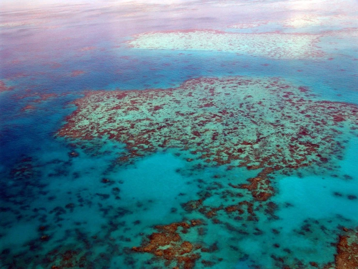 an aerial view of the great barrier of the great barrier of the great barrier of the great barrier of the great barrier of the great barrier of, by Hannah Tompkins, coral reefs, view from the side”