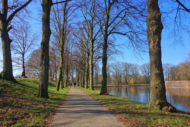 a path lined with trees next to a body of water, a photo, by Jan Pynas, shutterstock, walking at the park, february), eldenring, stock photo