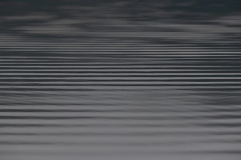 a bird sitting on top of a body of water, a picture, inspired by Ryoji Ikeda, minimalism, 4k detail, moire, dark grey, wavy water