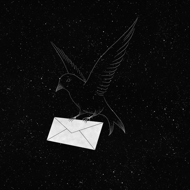 a black and white photo of a bird with an envelope, an illustration of, inspired by David Wojnarowicz, tumblr, floating in the cosmos nebula, procreate illustration, mobile wallpaper, ffffound