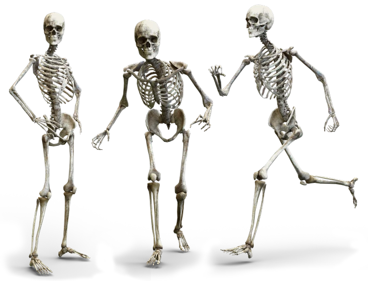 a group of three skeletons standing next to each other, featured on zbrush central, highly detailed textured 8 k, full body sarcastic pose, tibetan skeleton dancer, 5 feet away