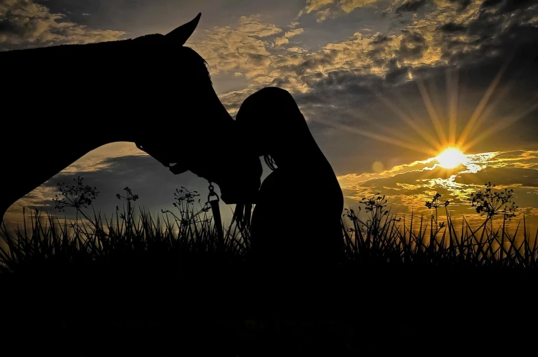 a woman standing next to a horse in a field, a picture, pixabay, romanticism, silhouette over sunset, kissing, amazingly composed image, close angle