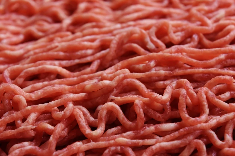 a pile of meat sitting on top of a table, a picture, pexels, renaissance, red flesh strings, ground beef, closeup headshot, maze-like