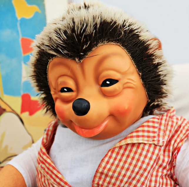 a close up of a toy hedge on a bed, a photo, by Maksimilijan Vanka, pop art, anthropomorphic hedgehog, ventriloquist dummy, nice face, little kid