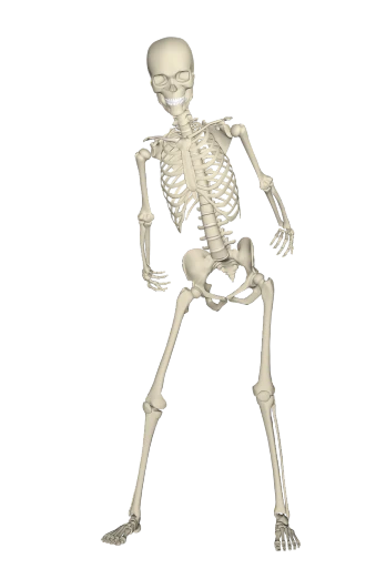 a black and white photo of a skeleton, a raytraced image, by Andrei Kolkoutine, pexels, digital art, full entire body fun pose, toon, a wide full shot, rotoscoped