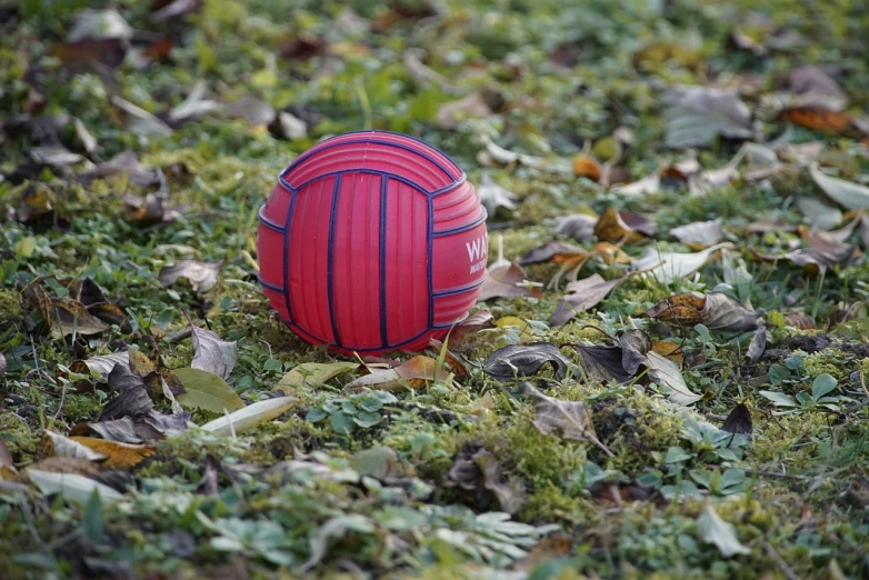 a red ball sitting on top of a lush green field, inspired by Jules Tavernier, volleyball, red and blue color theme, bespoke, harry wingfield