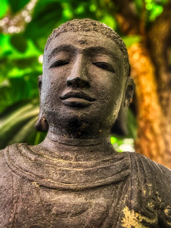 a close up of a statue with a tree in the background, a statue, minimalism, south east asian with round face, in a monestry natural lighting, solemn expression, covered with liquid tar. dslr