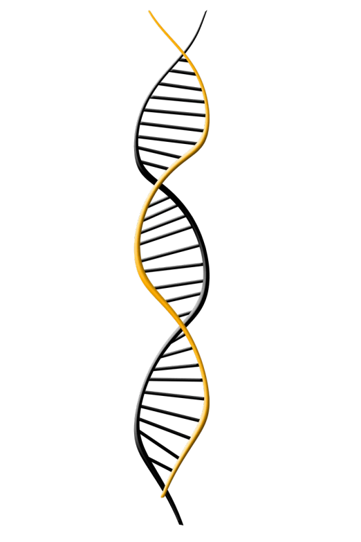 a single strand of dna against a black background, a digital rendering, zbrush central, generative art, yellow and black trim, raytraced blade, high res photo, ladder