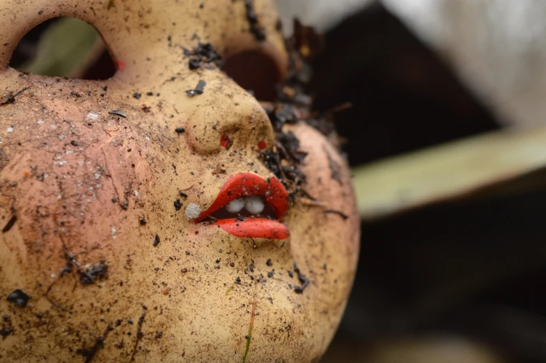 a close up of a doll's face with dirt on it, by Edward Corbett, unsplash, assemblage, eating rotting fruit, lipstick, noh theatre mask, demolition