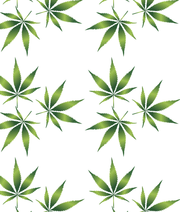 a pattern of marijuana leaves on a black background, inspired by Mary Jane Begin, deviantart, ¯_(ツ)_/¯, high definition screen capture, snoop dog, 4 8 0 p