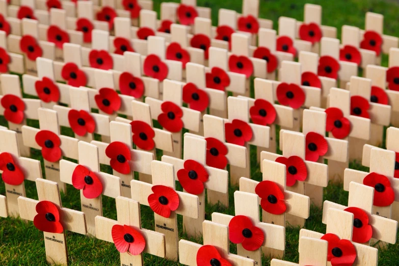 a field of wooden crosses with poppies on them, a stock photo, by John Murdoch, shutterstock, glasgow, close - up photo, award - winning details ”