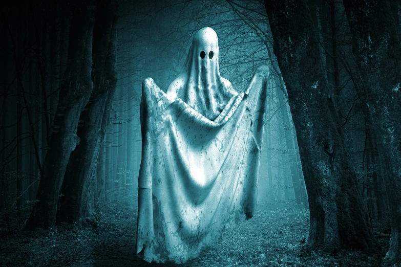a ghost standing in the middle of a forest, shutterstock, unilalianism, fully covered in drapes, freezing, spotted, the ring