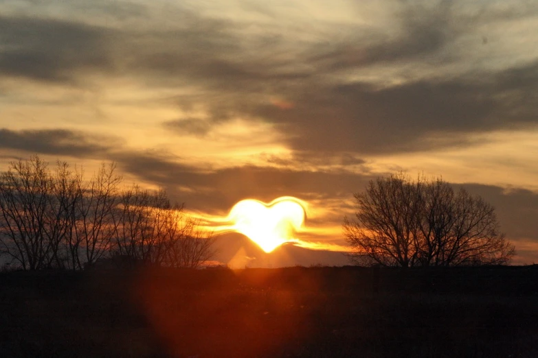 the sun is setting behind some trees, a picture, flickr, romanticism, heart, albuquerque, flash photo, slightly golden