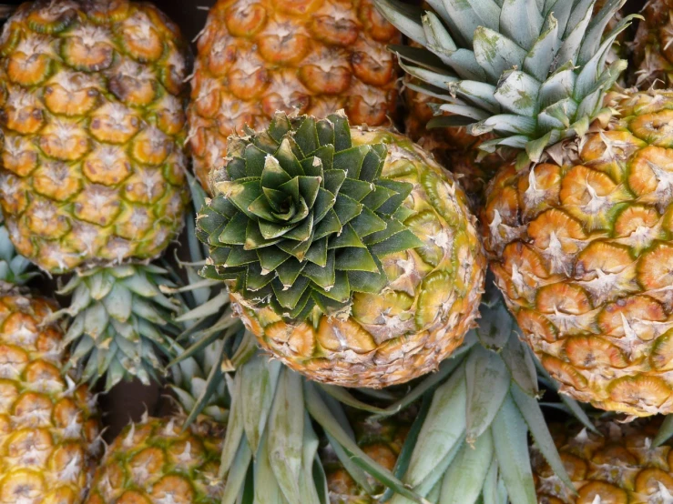 a bunch of pineapples sitting on top of each other, renaissance, top down photo, high quality product image”