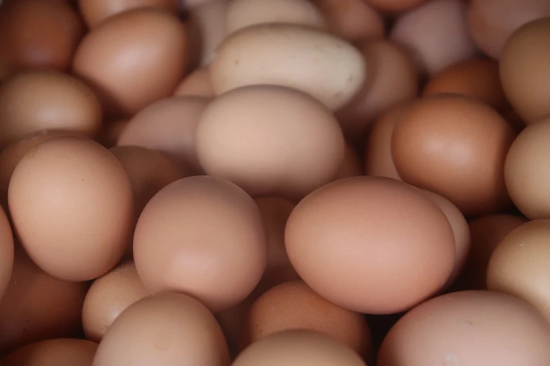 a pile of eggs sitting on top of each other, a picture, by Georgina Hunt, 4 k detail, bottom angle, warm coloured, 4 0 9 6