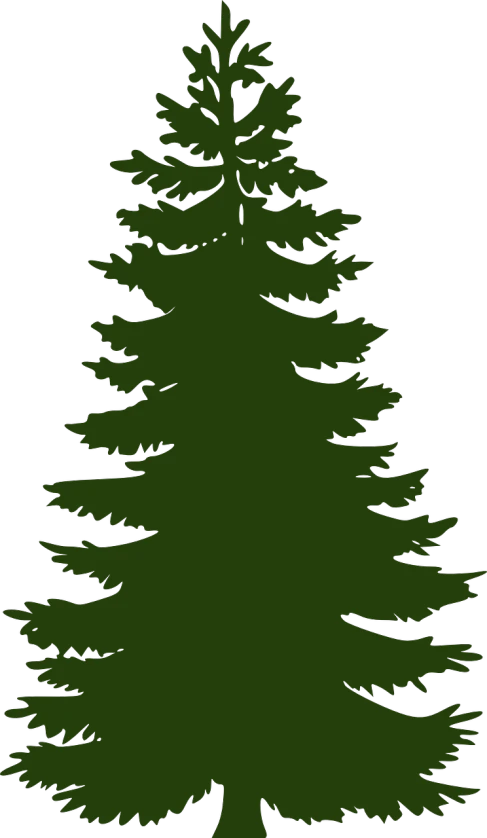 a pine tree on a black background, a screenshot, black backround. inkscape, ( ( dark green, a 15 foot tall, camp