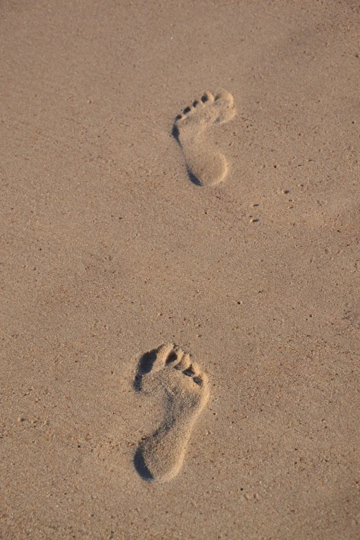 a couple of footprints that are in the sand, a photo, wide shot photo, istockphoto, pregnancy, sleepers