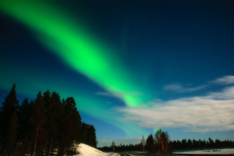 the aurora bore lights up the night sky, pexels, hurufiyya, espoo, beautiful sunny day, afp, (snow)