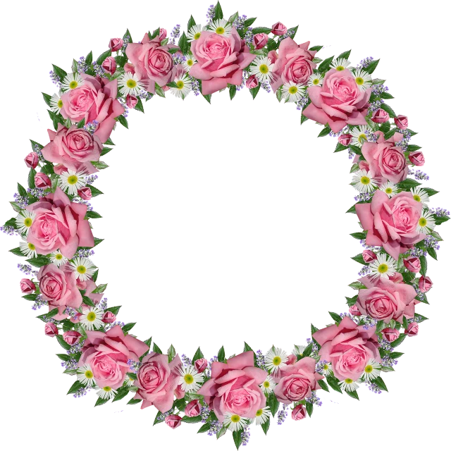 a wreath of pink roses and white daisies, a digital rendering, by George Barret, Jr., pixabay, everything enclosed in a circle, square pictureframes, with a black background, -h 1024