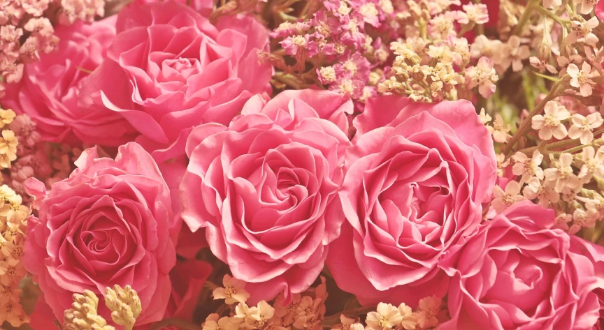 a close up of a bunch of pink roses, a digital rendering, by Maksimilijan Vanka, romanticism, blissful, insanely intricate, field of pink flowers, carnation