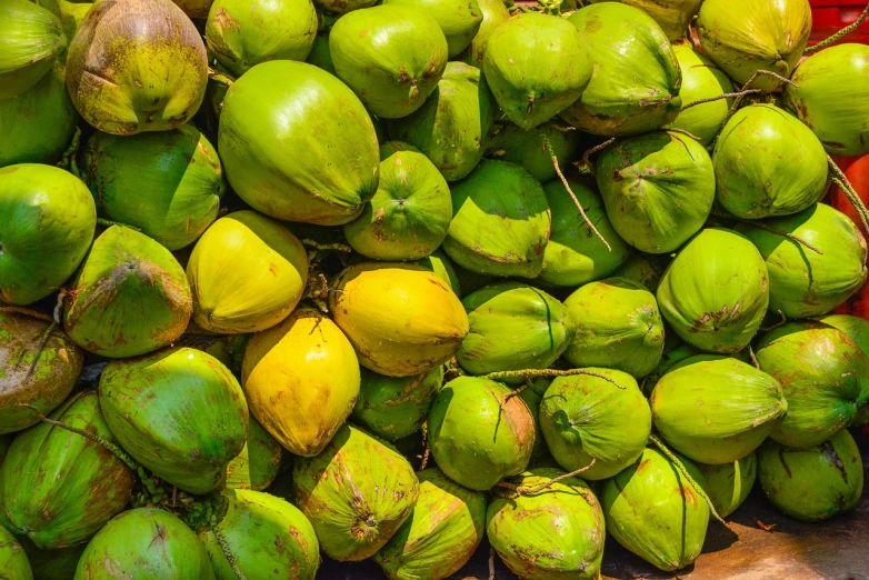a pile of green coconuts sitting on top of each other, a stock photo, shutterstock, fine art, thailand, filled with water, warm sunshine, green and yellow colors